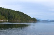 Brothers and BIG FISH in the Discovery Islands