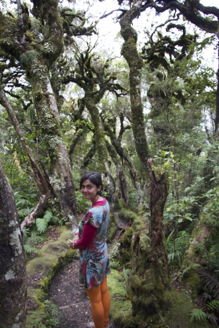 Family Travel, New Zealand