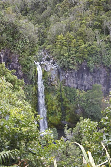 Family Travel, New Zealand