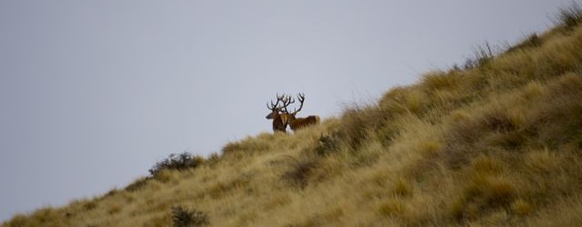 IMG_3402