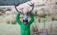 Elisha Family Travel New Zealand